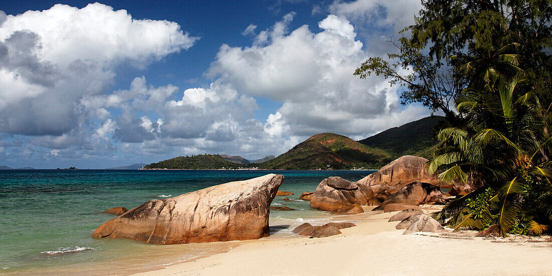 Tropical beach with palm tree, Anse Boudin, Praslin, Seychelles, Indian ocean