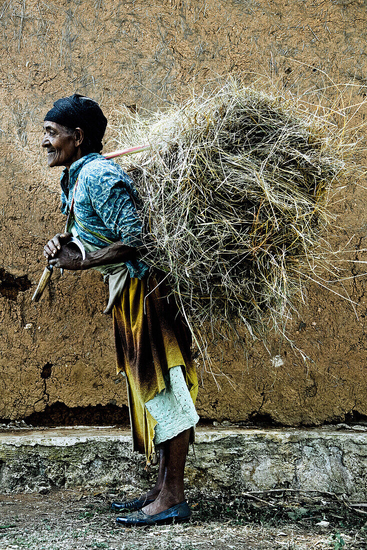 Alte Frau von der Dorze Volksgruppe trägt ein Bündel Heu, Südäthiopien, Afrika
