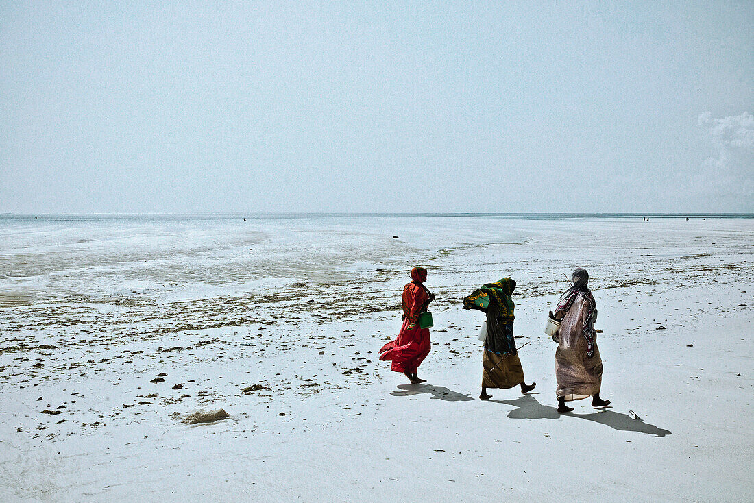 Frauen gehen  am Strand entlang, Sansibar, Tansania, Afrika