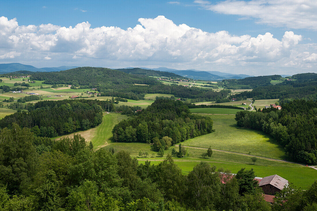 View across the landscape from the ruins of castle Neurandsberg, Bavarian Forest, Bavaria, Germany