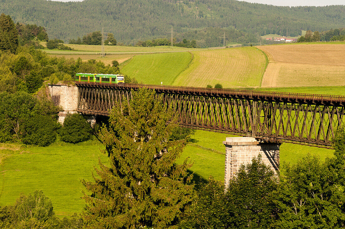 Eisenbahnbrücke der Waldbahn bei Regen, Bayerischer Wald, Bayern, Deutschland