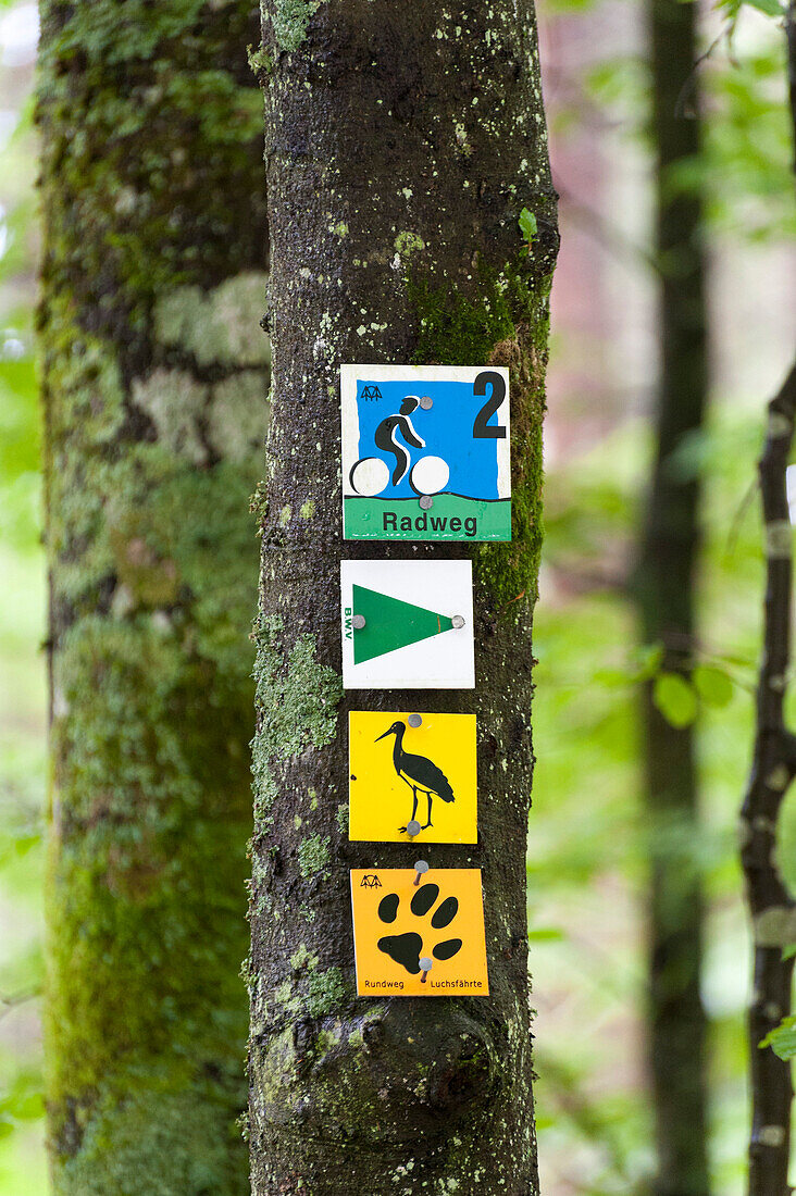 Close up of hiking trail signs, Zwieseler Waldhaus, Bavarian Forest, Bavaria, Germany