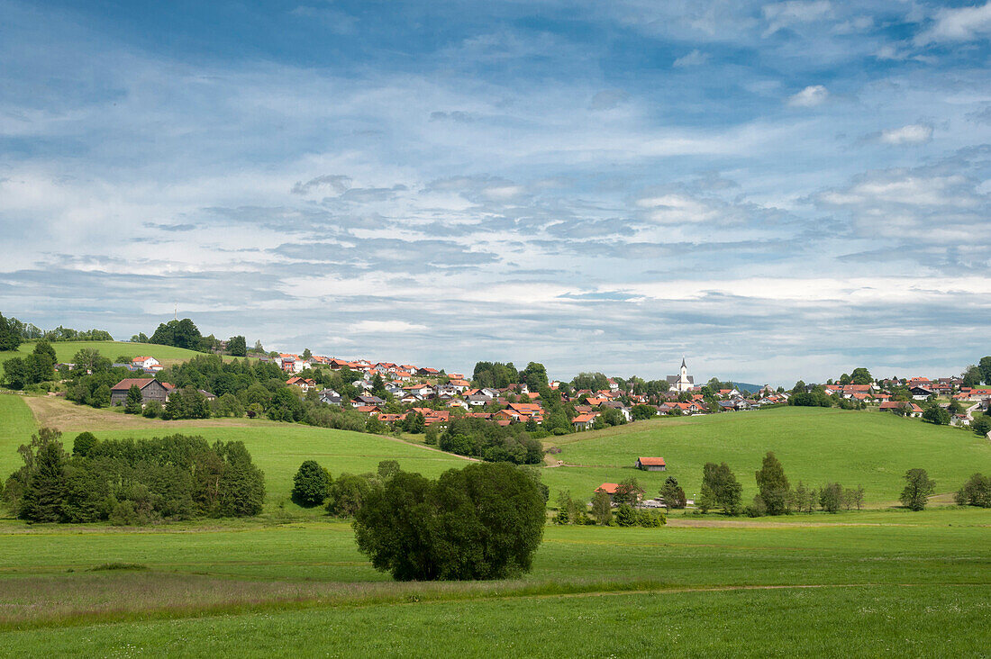 Landscape with Breitenberg, Bavarian Forest, Bavaria, Germany