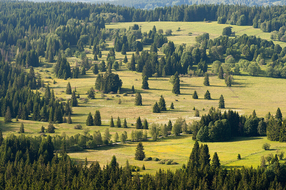Blick vom Aussichtsturm Moldaublick auf Tschechische Republik, Wald, Moor, Schöneben, Ulrichsberg, Mühlviertel, Böhmerwald, Niederösterreich, Österreich
