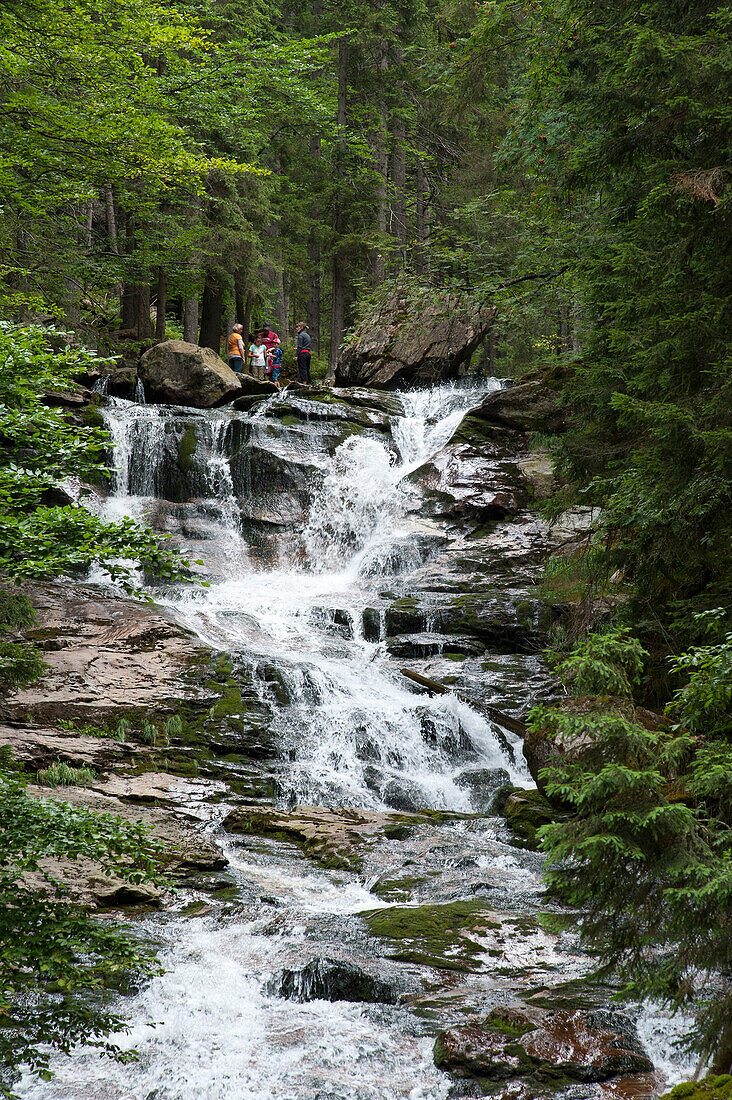 Riesloch Wasserfälle, Bodenmais, Bayerischer Wald, Bayern, Deutschland
