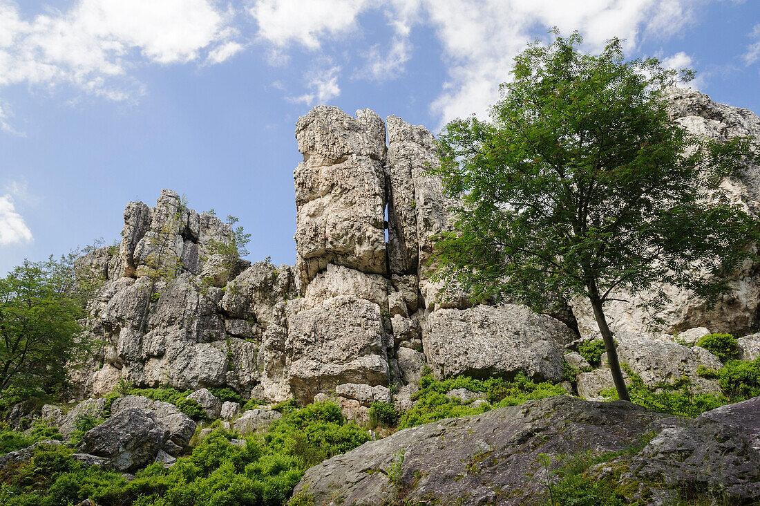 Quartz rocks, Grosser Pfahl nature reserve, Viechtach, Bavarian Forest, Bavaria, Germany