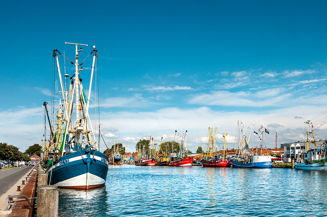 Krabbenkutter im Hafen, Büsum, Dithmarschen, Schleswig-Holstein, Deutschland