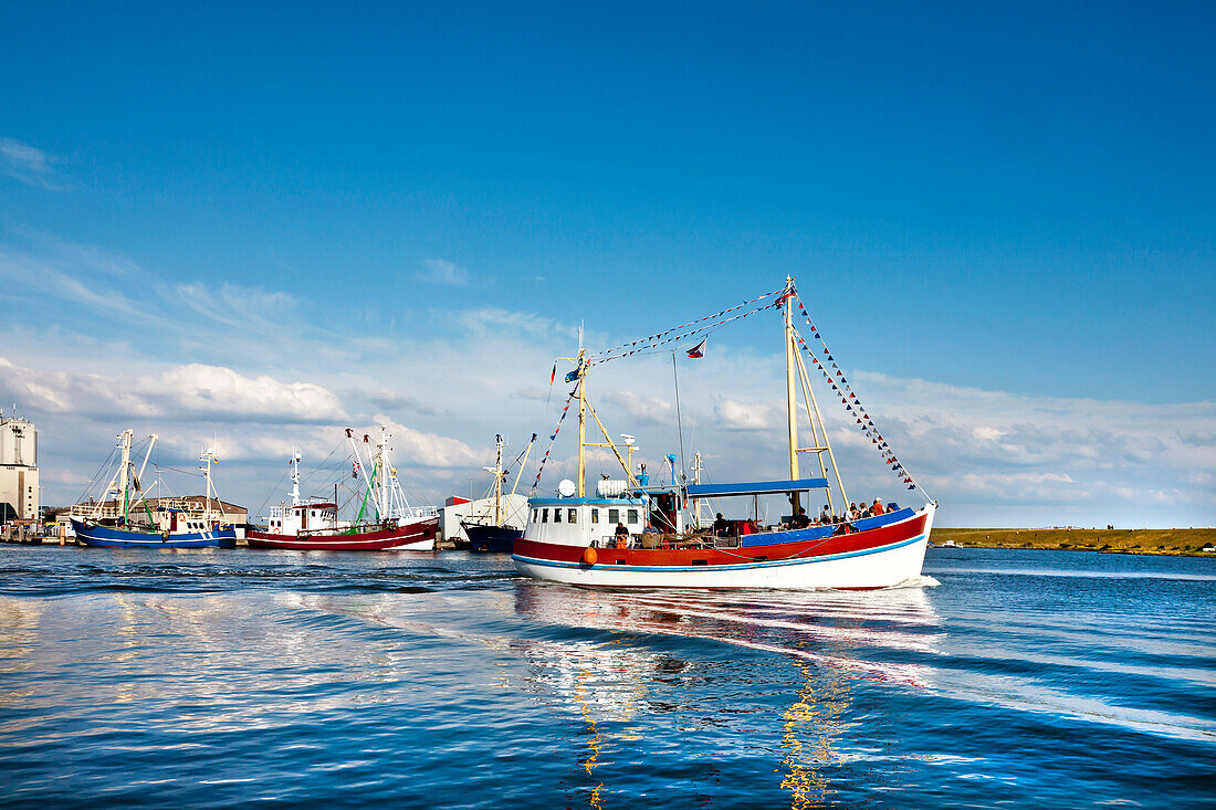 Fishing boats in harbour, Buesum, North Sea coast, Schleswig-Holstein, Germany