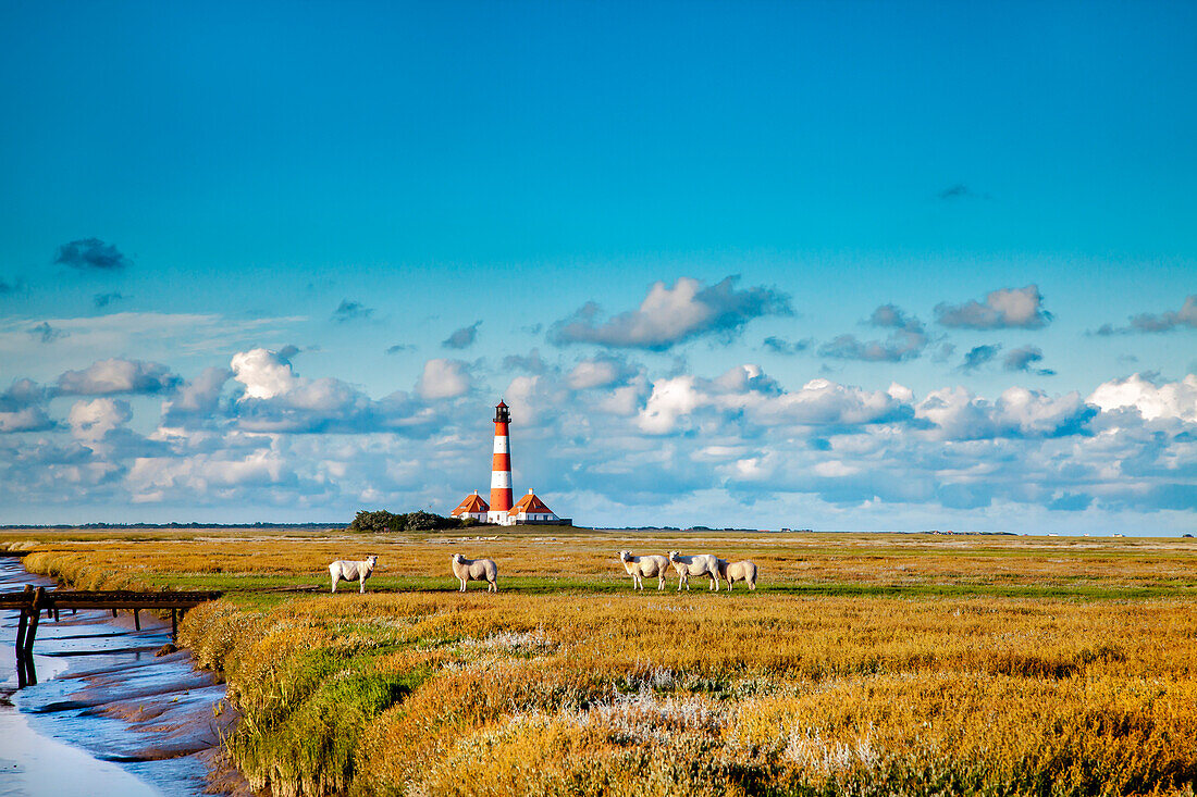 Leuchtturm Westerhever, Halbinsel Eiderstedt, Nordfriesland, Schleswig-Holstein, Deutschland