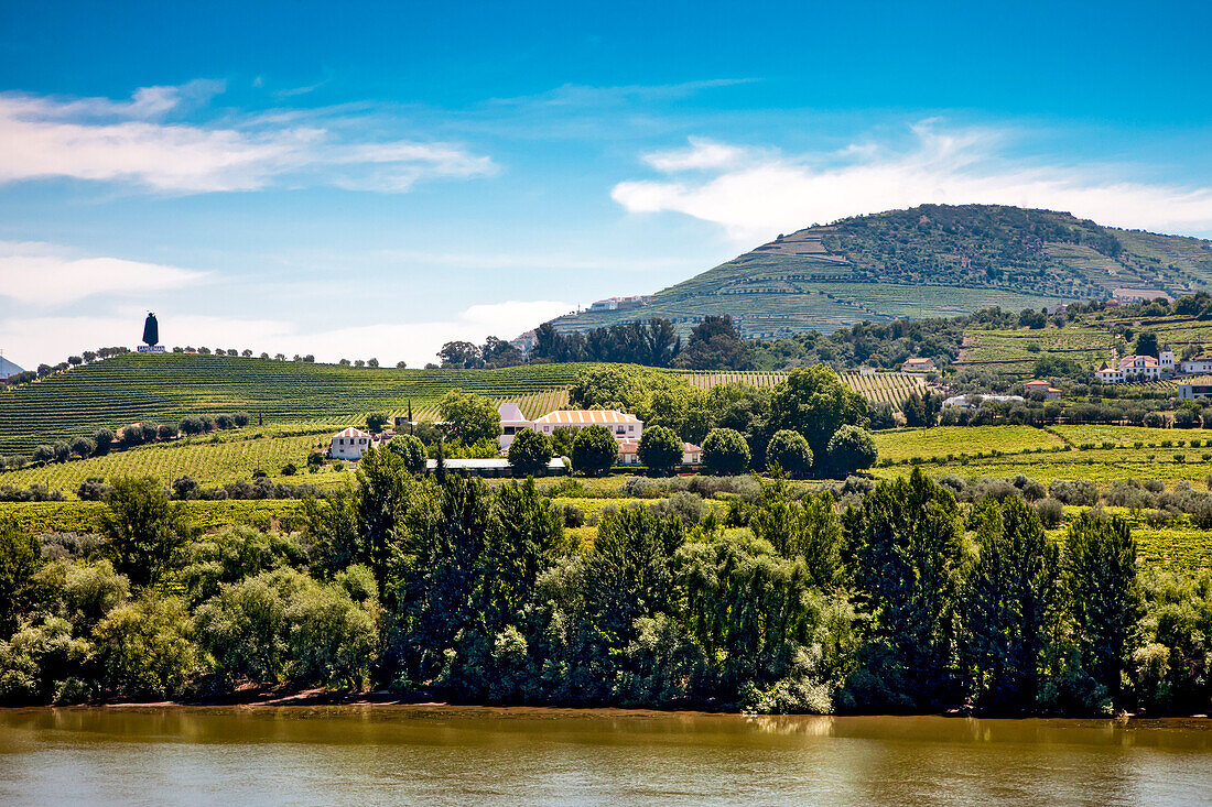 Wine region in Regua, Duoro, Porto, Northern Portugal,  Portugal