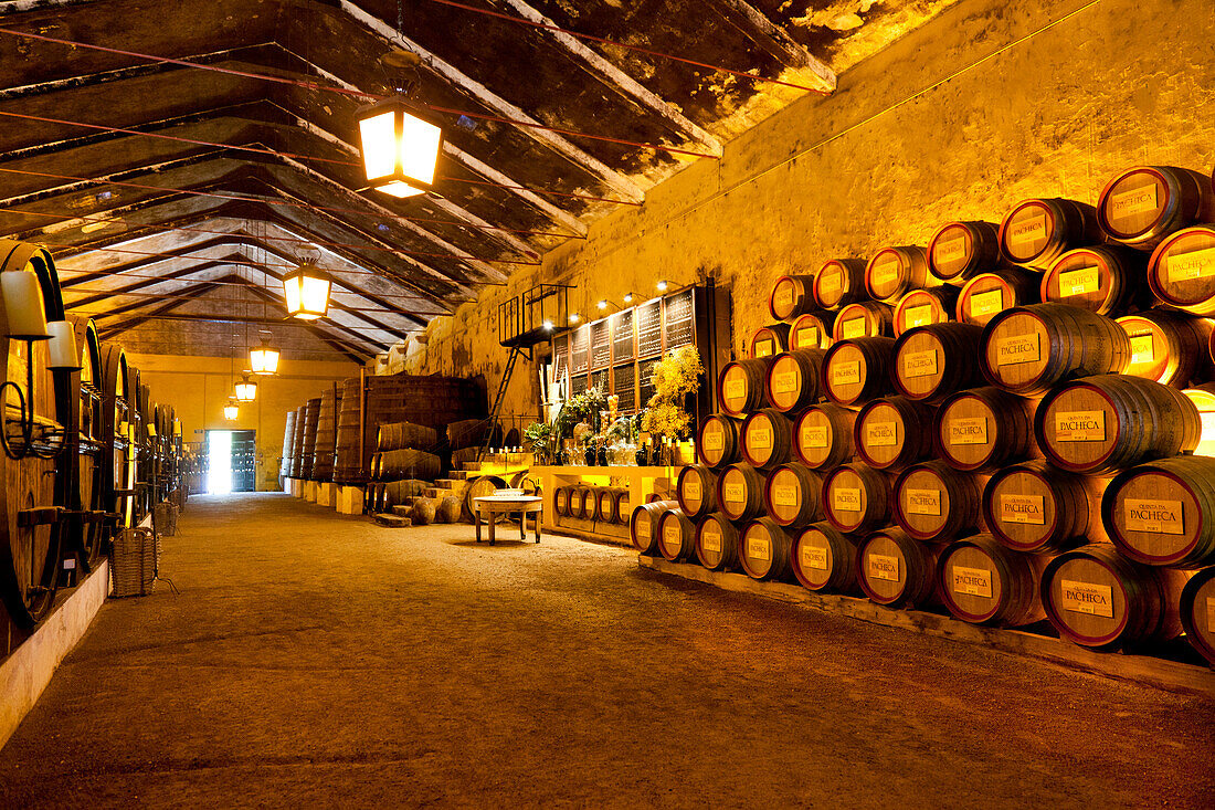 Weinkeller, Weingut Quinta da Pacheca, Lamego, Douro Gebiet, Porto, Nordportugal, Portugal