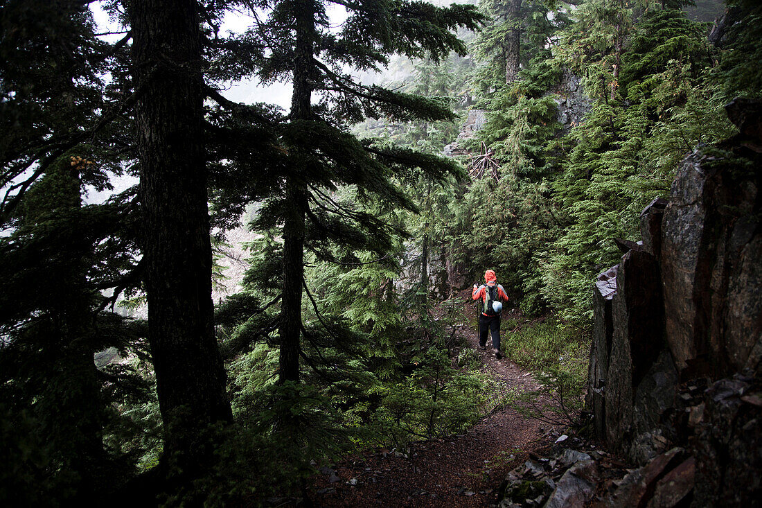 A hiker wearing an orange jacket, walks along a trail beneath a dark forest Washington, USA