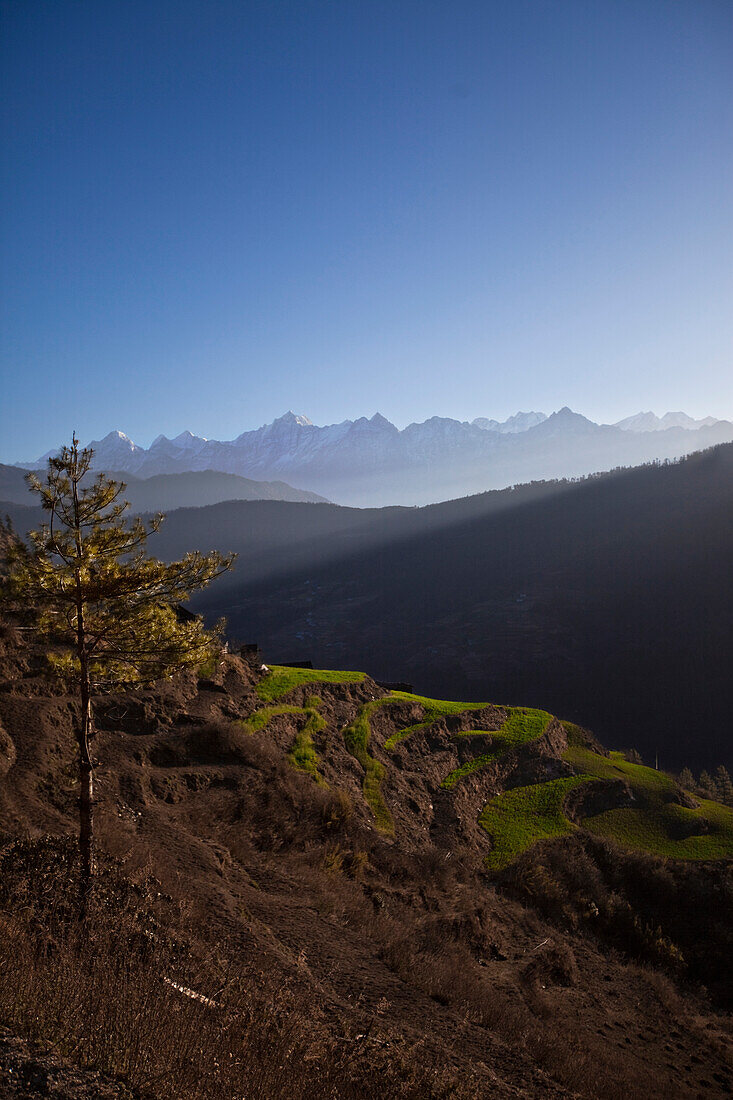A Nepalese landscape with terraced fields and distant mountains (including Everest) Solukhumbu Region, Nepal