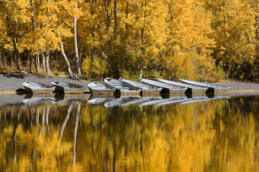 A row of fishing boats and autumn aspens trees reflecting in Silver Lake in the Sierra mountains of California, Sierra Mountains, CA, usa