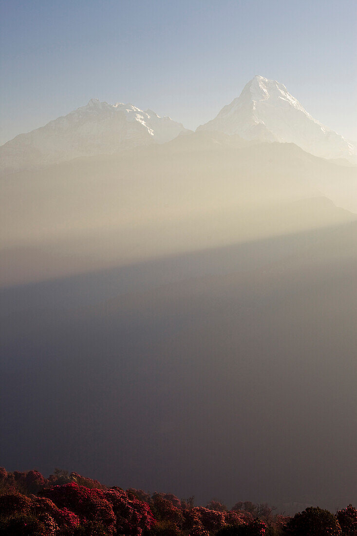 Annapurna 1 and Annapurna South as seen from Poon Hill Ghorepani, Annapurna Conservation Area, Nepal