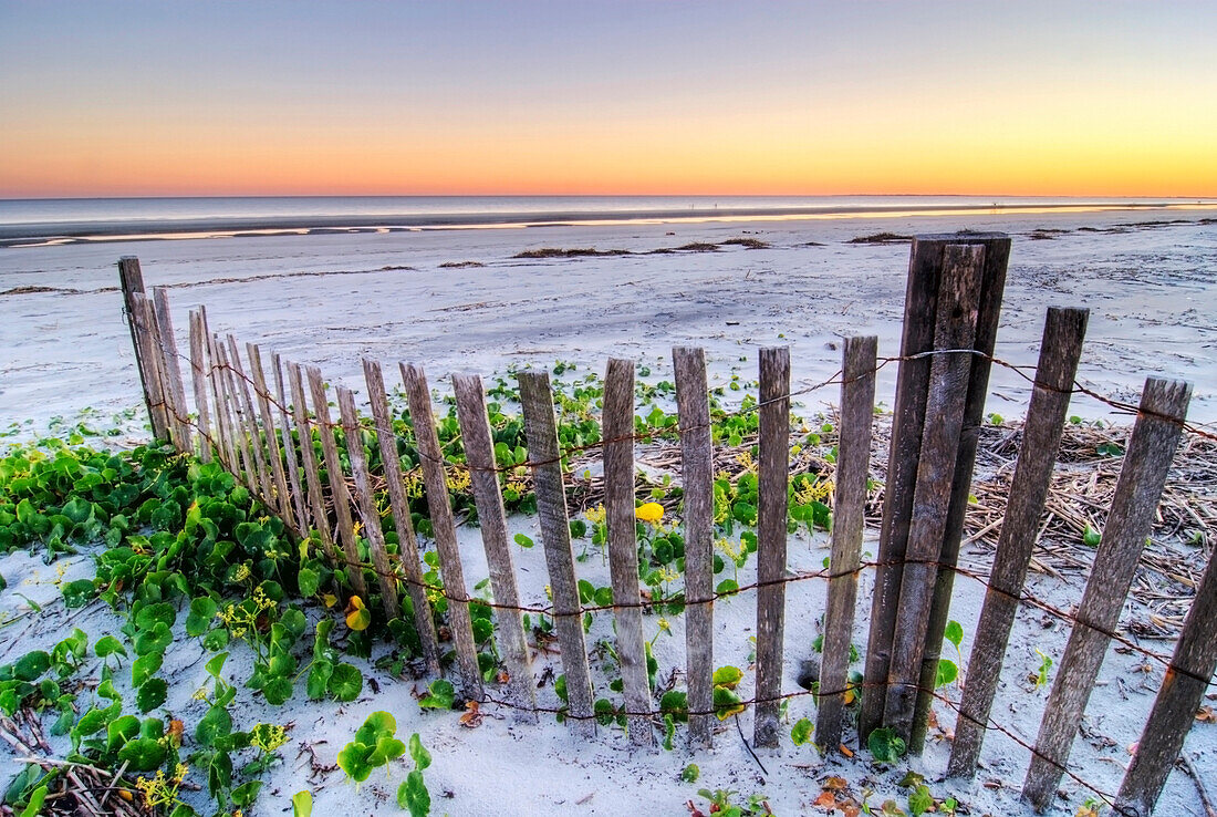 A beach fence at sunset on Hilton Head Island, South Carolina Hilton Head Island, South Carolina, USA
