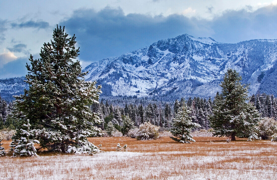 Snow from the first winter storm of the year blankets Kiva Meadow and Mt. Tallac in Lake Tahoe, CA Lake Tahoe, California, USA