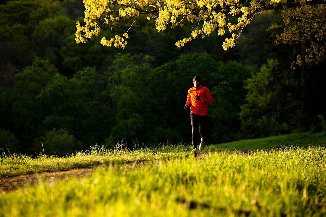 A man wearing an orange shirt runs along a trail in Rockefeller State Park in Sleepy Hollow, New York Sleepy Hollow, New York, United States of America
