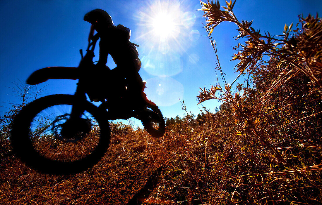 A motorcyclist rides through the brush in an Enduro race in Maplesville, Alabama. (Back lit, Lens Flare, Motion Blur), Maplesville, Alabama, United States
