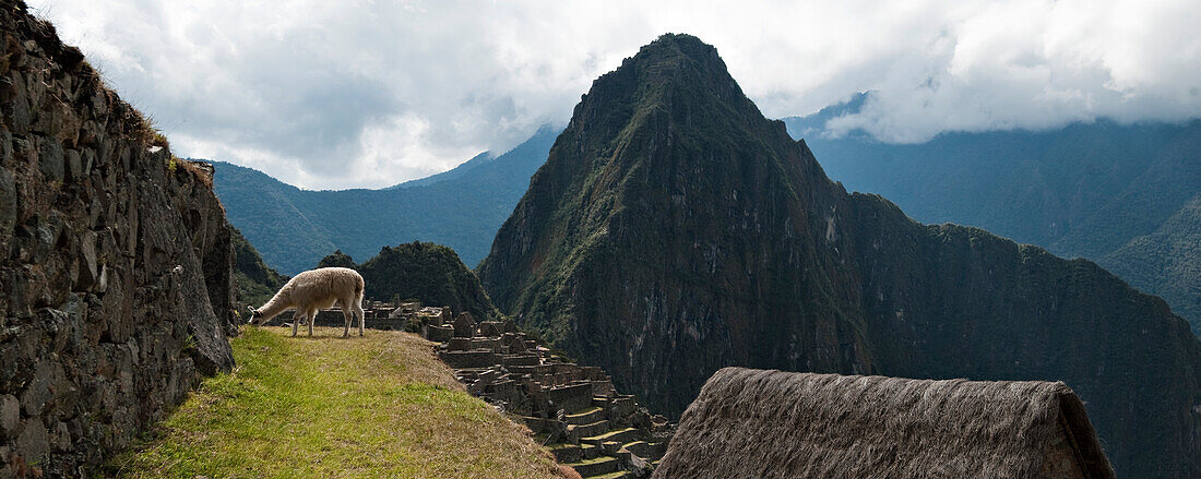 The ancient ruins of Machu Picchu Inca Trail, Andes Mountains, Peru