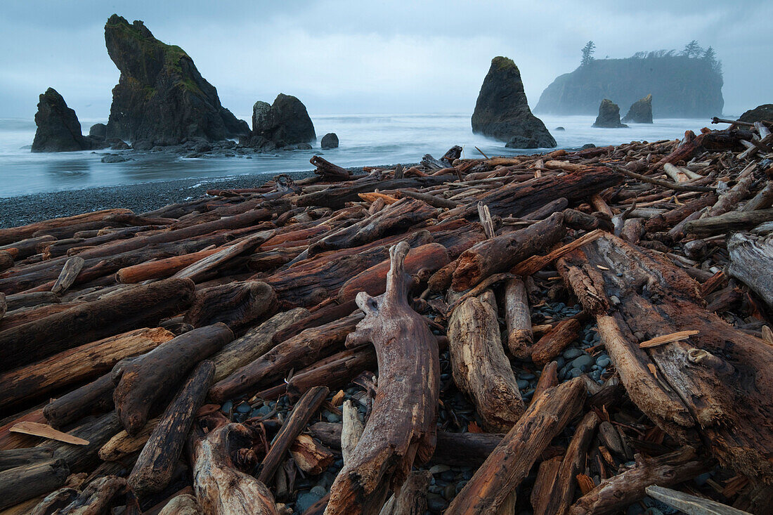 Sea stacks and piles of driftwood at Ruby Beach, Olympic National Park, Washington Olympic National Park, Washington, USA