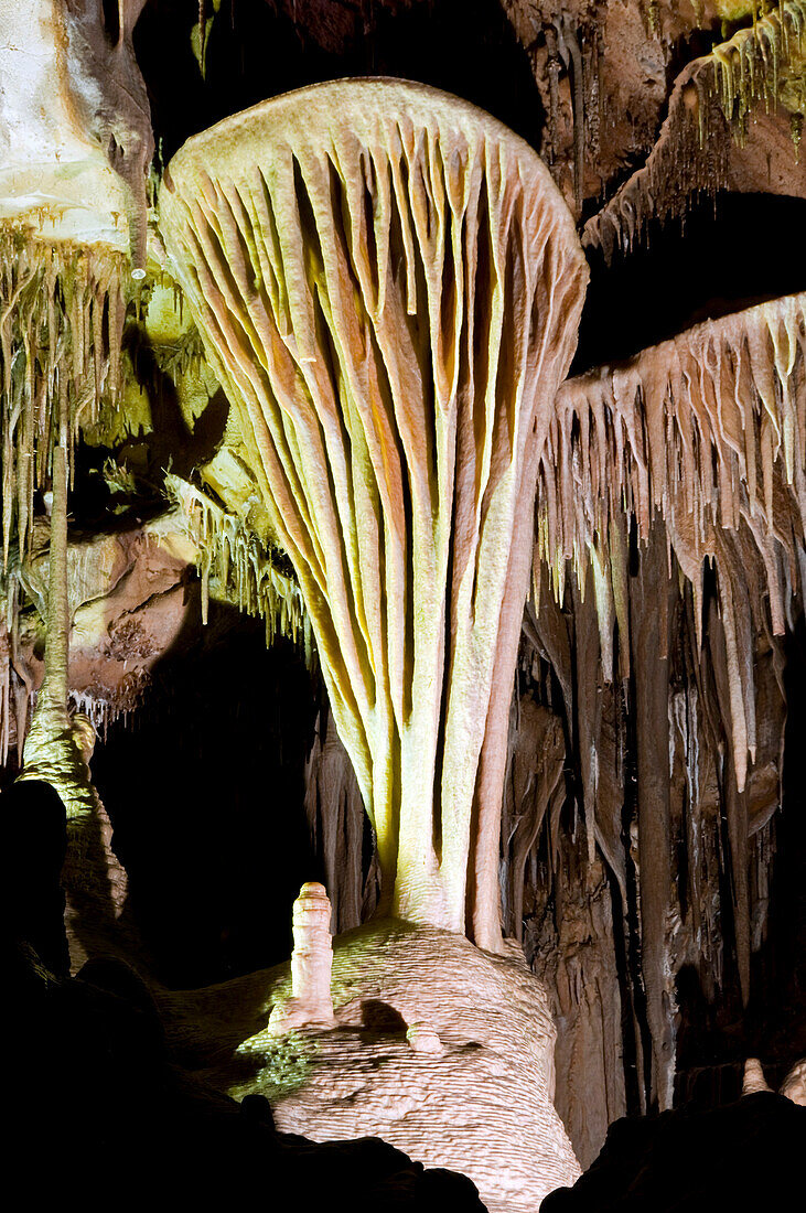 The famous Parachute Shield in the Lehman Caves, Great Basin National Park, NV Great Basin National Park, Nevada, USA