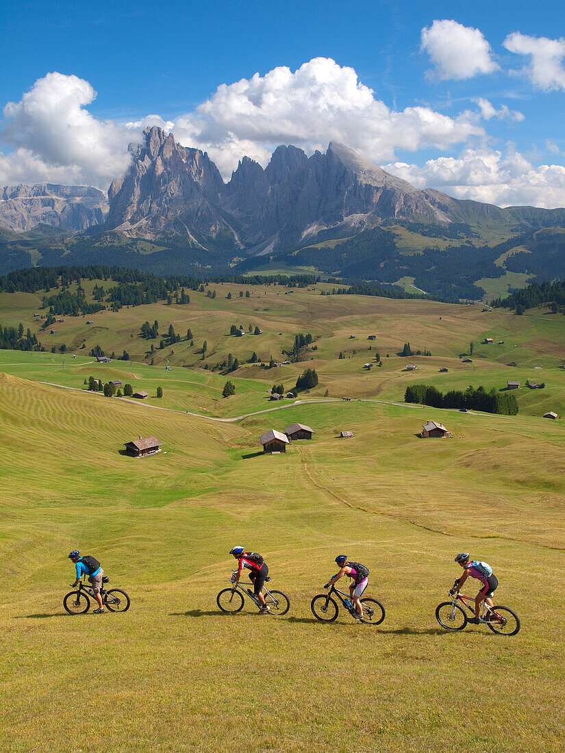 Four mountain bikers are riding downhill a grassy slope at Seiser Alm, with rock cliffs in the background Val Gardena, Dolomites, Italy