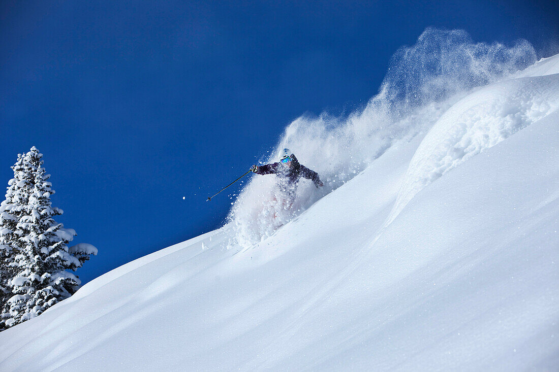 A athletic skier rips fresh deep powder turns in the backcountry on a sunny day in Colorado Vail, Colorado, USA