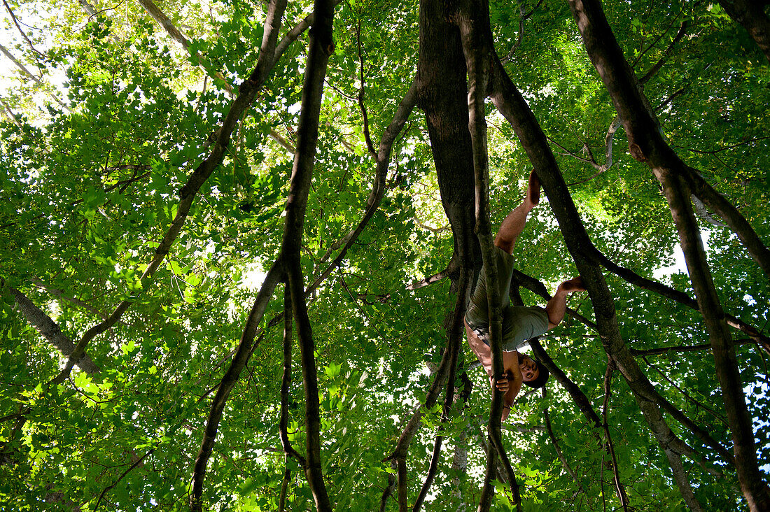 A man rests in a tree in the city USA