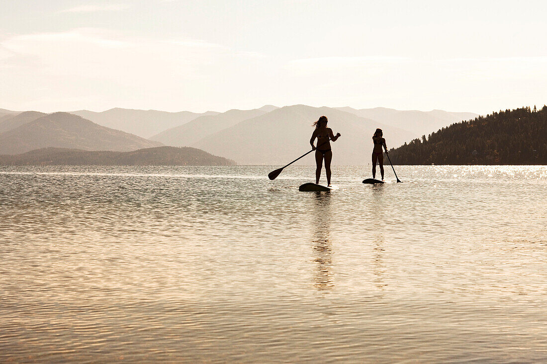 Two athletic young women stand up paddle board on a lake in Idaho on a sunny day., Sandpoint, Idaho, USA