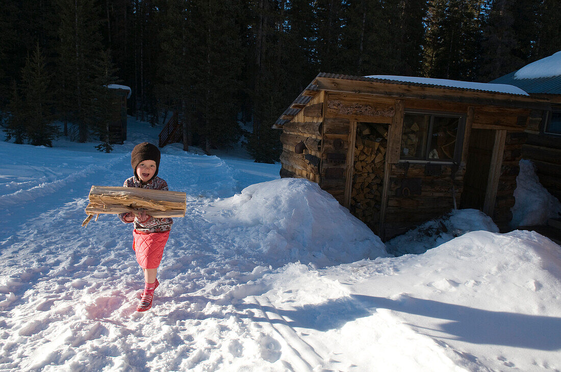Young girl carrying firewood from shed, Lizard Head Pass, Telluride, Colorado., Telluride, Colorado, usa