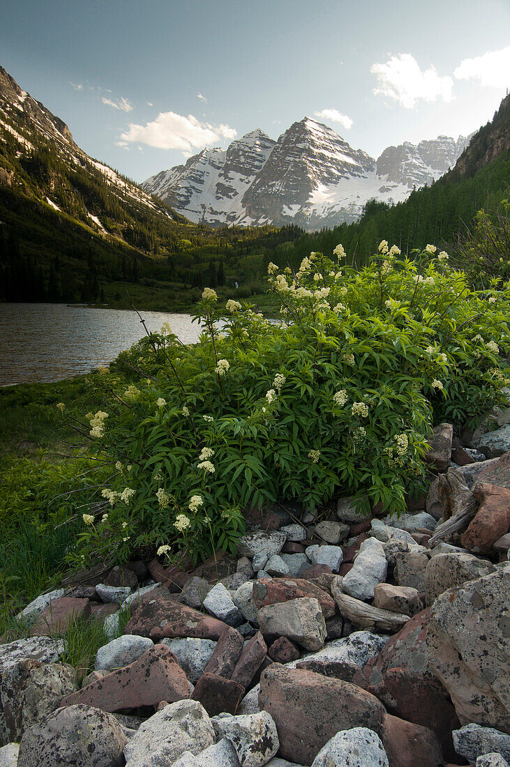 Maroon Bells and Maroon Bell Lake, Maroon Bells Wilderness, Aspen, Colorado., Aspen, Colorado, usa