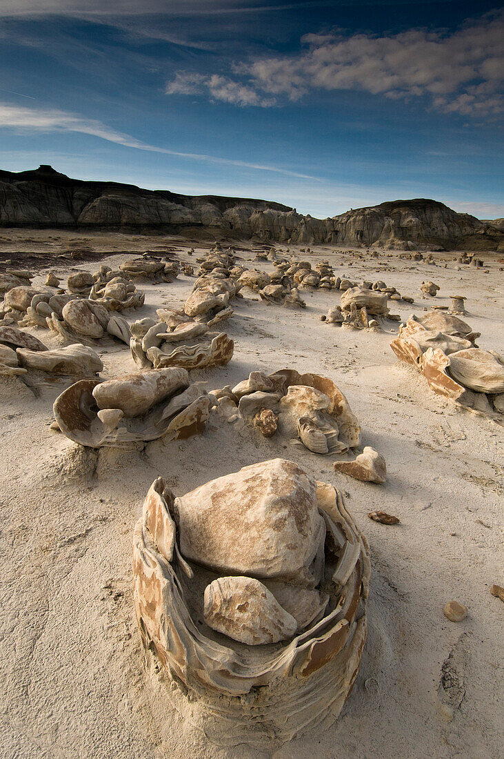 Eroded sandstone rock formations at Bisti Badlands, Farmington, New Mexico., Farmington, New Mexico, usa