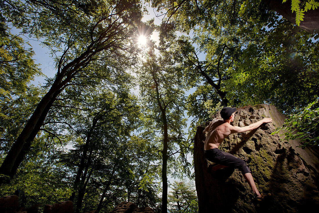 A climber ascends round, standalone boulder deep in a forests of Hameln, Germany., Hameln, Lower Saxony, Germany