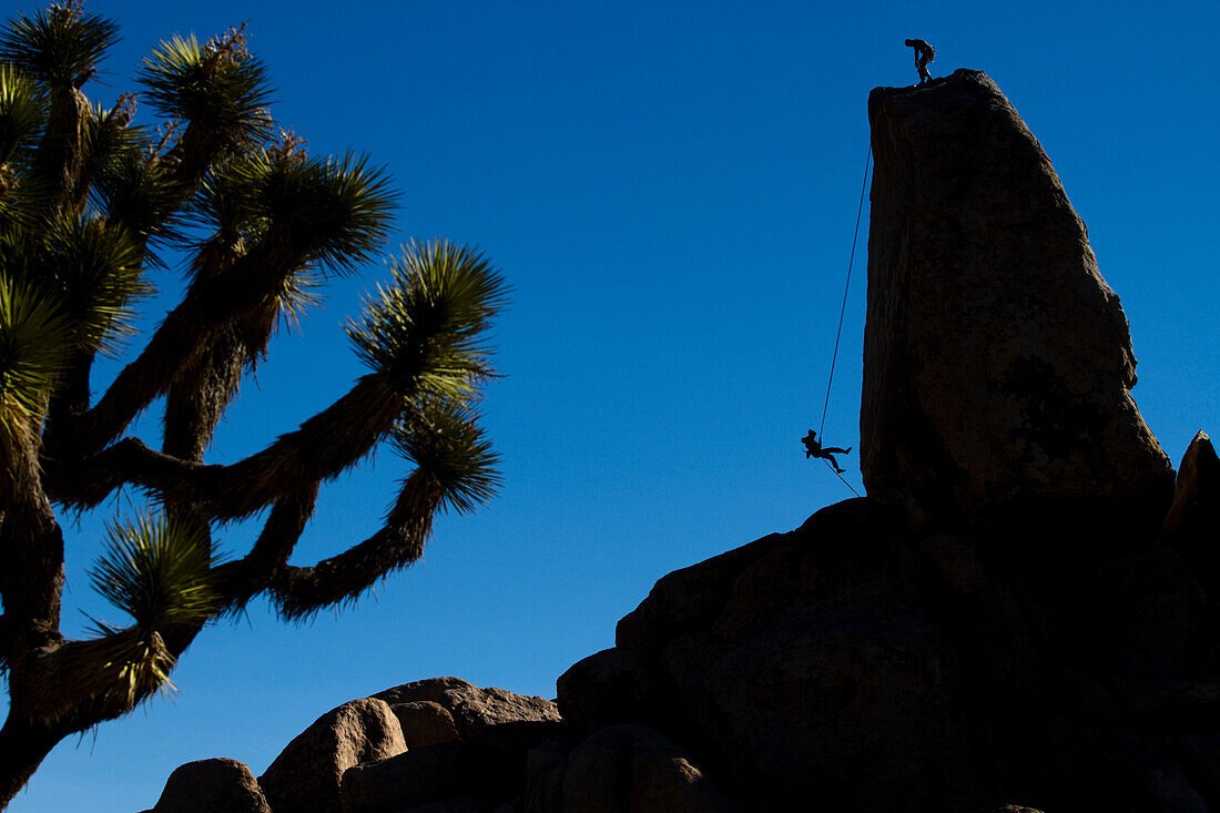 A female climber rappels off of Headstone Rock in Ryan Campground, Joshua Tree National Park, California., Joshua Tree, California, United States of America