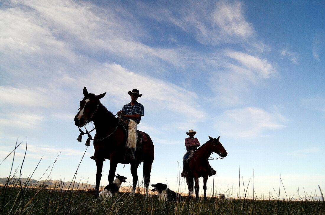 Two cowboys and their dogs are silhouetted at sunset on the Dalton Ranch in the Clover Valley, NV., Clover Valley, Nevada, USA