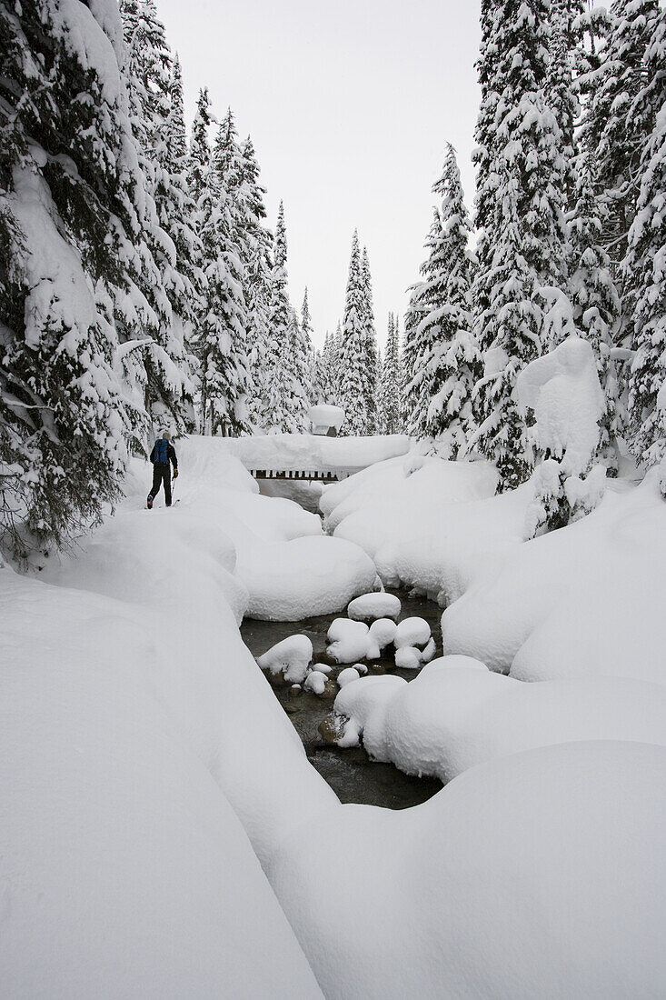 Young man ski-touring through forest, Rogers Pass, British Columbia, Canada