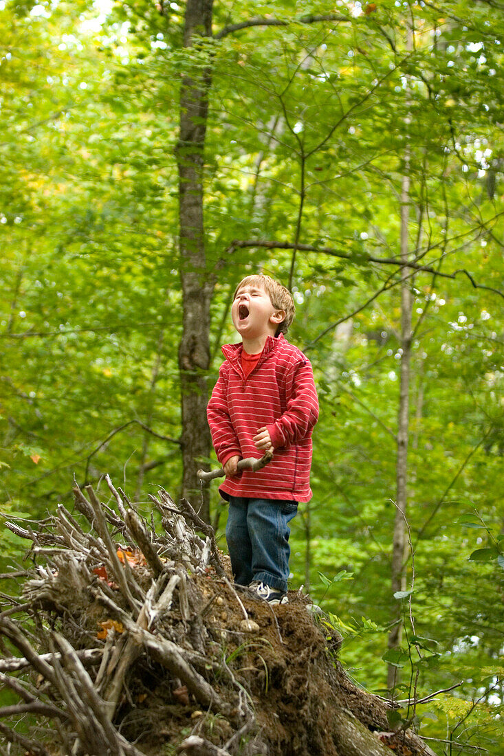 Young boy playing in forest in forest in rural Lake Ossipee, New Hampshire New Hampshire, United States