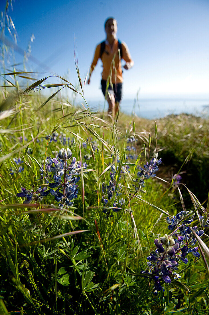 A woman hiking in grassy hills along the coast with a flower in the foreground San Francisco, California, USA