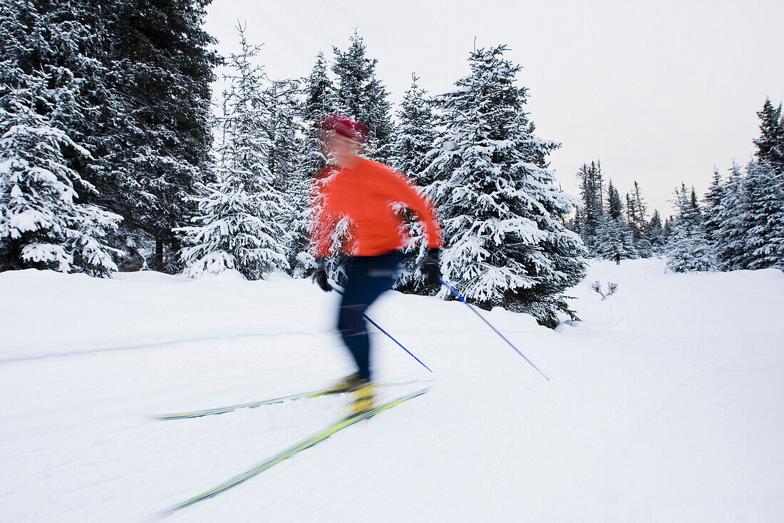 A young woman cross-country skiing. (blurred motion), Homer, Alaska, USA