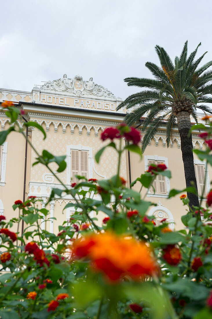 Hotel, Diano Marina, Province of Imperia, Liguria, Italy