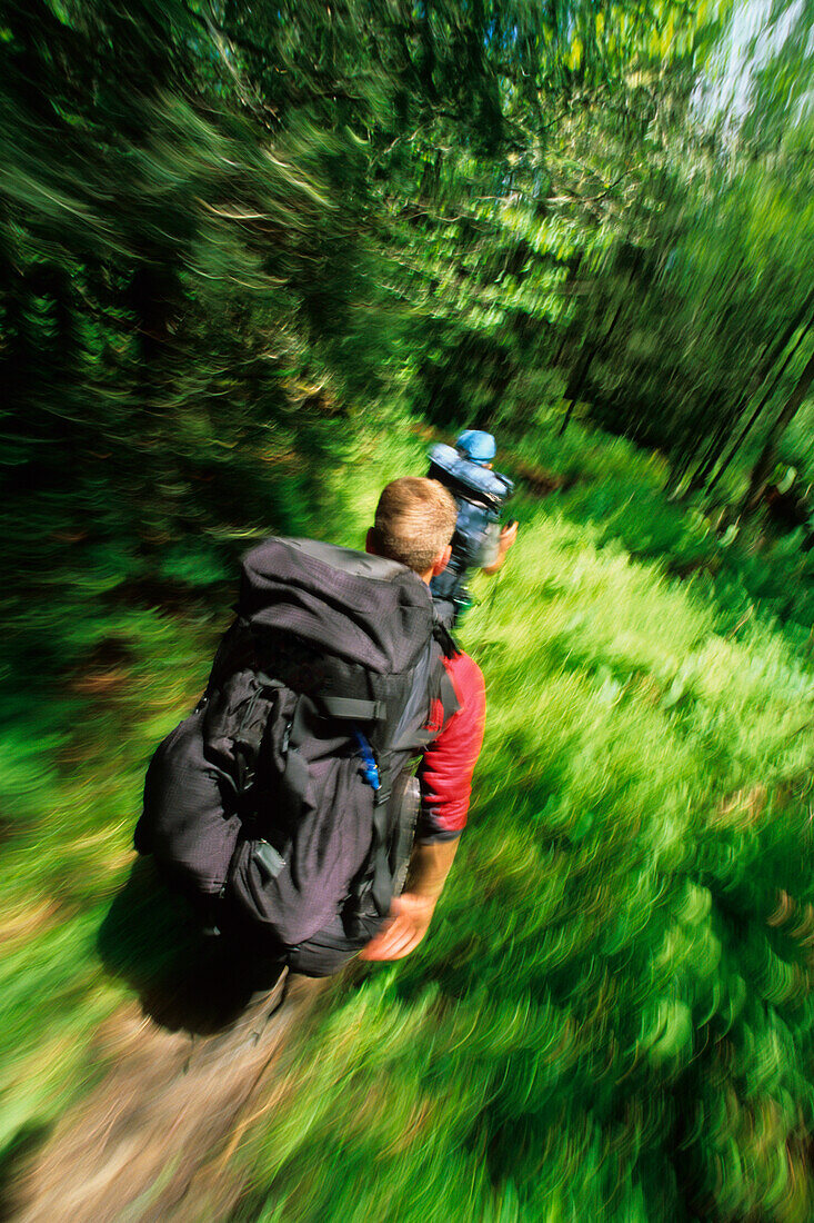 Blur motion view of a backpacker in a lush forest North Carolina, USA
