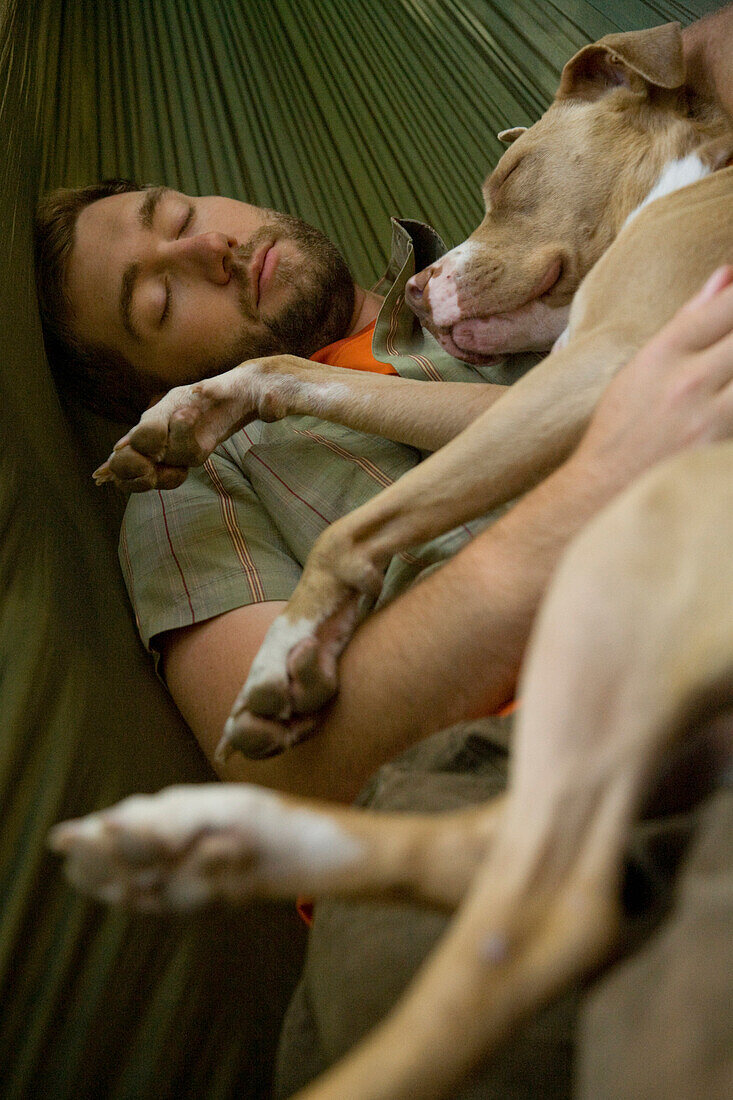 Young man asleep with his dog in a hammock in the woods Big Sur, California, USA