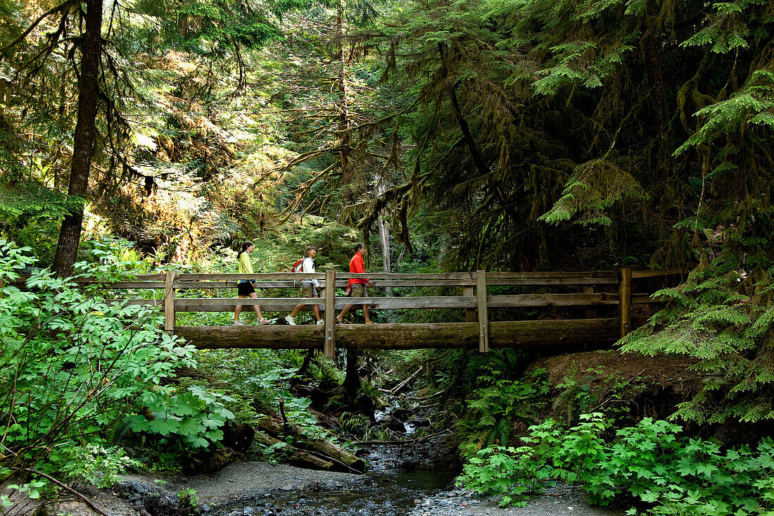 Three hikers on a wooden bridge leading across a small stream in a forest Port Angeles, Washington, USA
