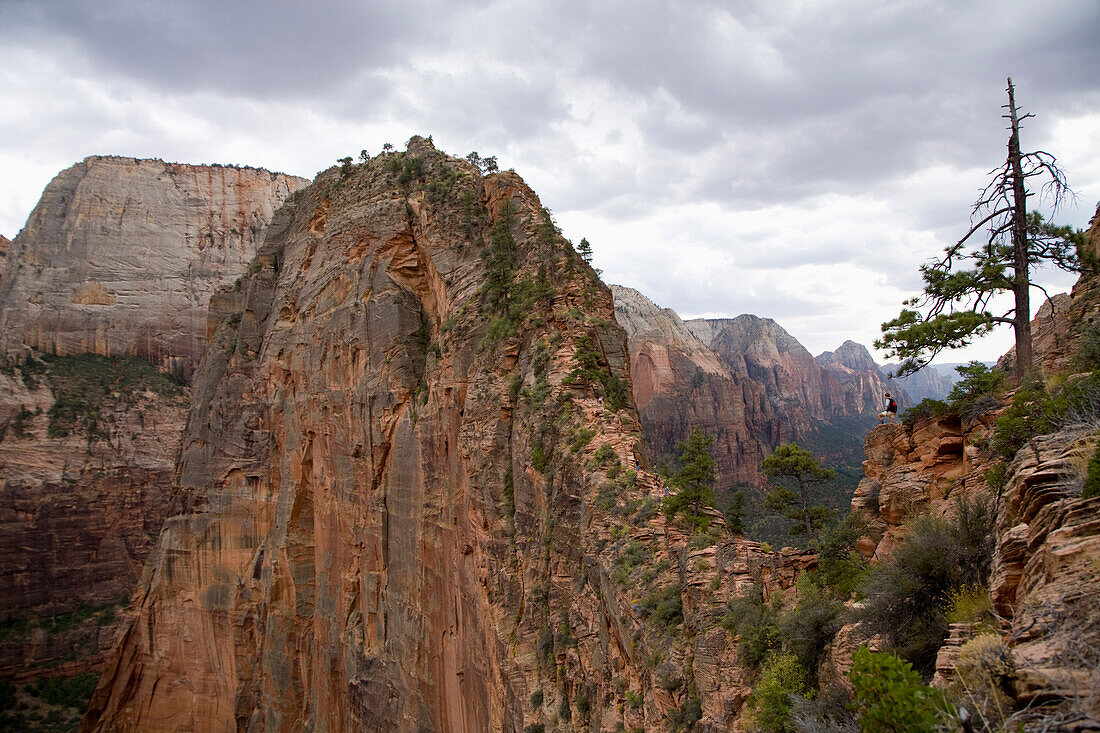 Hiker standing enjoys the view from Angel's Landing Trail, Zion National Park, Utah Zion National Park, Utah, USA