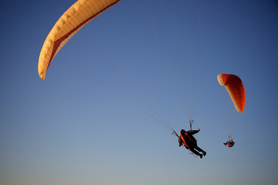 Two paragliders ride the wind at sunset over the ocean in California San Diego, California, USA