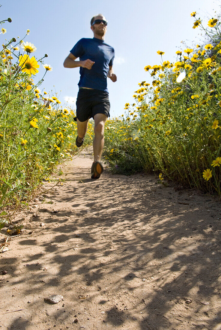 A young man trail runs along a trail lined by springtime flowers in the hills of Ventura, California Ventura, California, USA