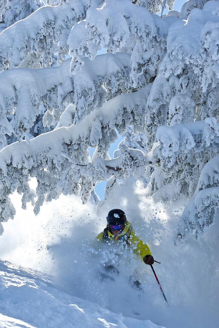 A man skis in Wyoming Alta, Wyoming, USA