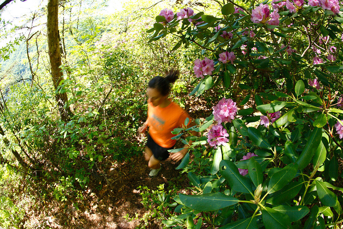 Woman trail running in a lush green forest Fayetteville, West Virginia, USA