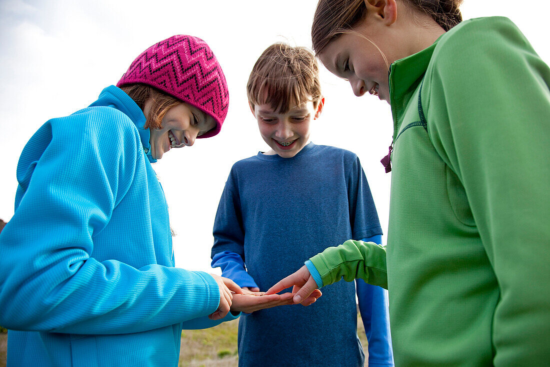 Three kids examining a bug found while hiking White Salmon, Washington, USA